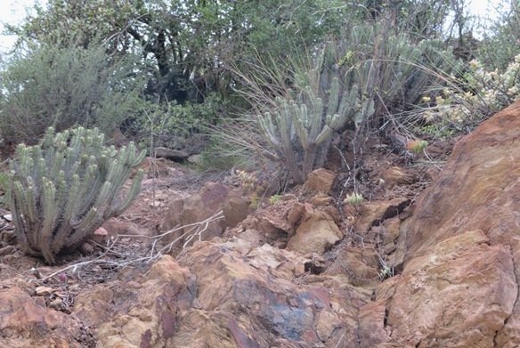 The broken hill fights back